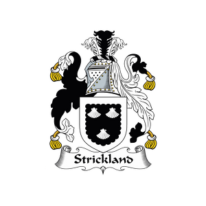 Strickly Business Safety Solutions, LLC